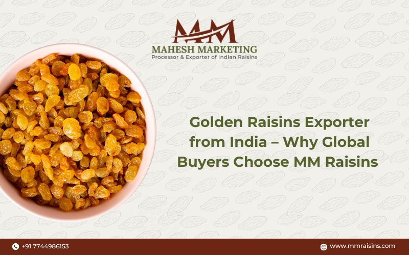 Golden Raisins Exporter from India – Why Global Buyers Choose MM Raisins